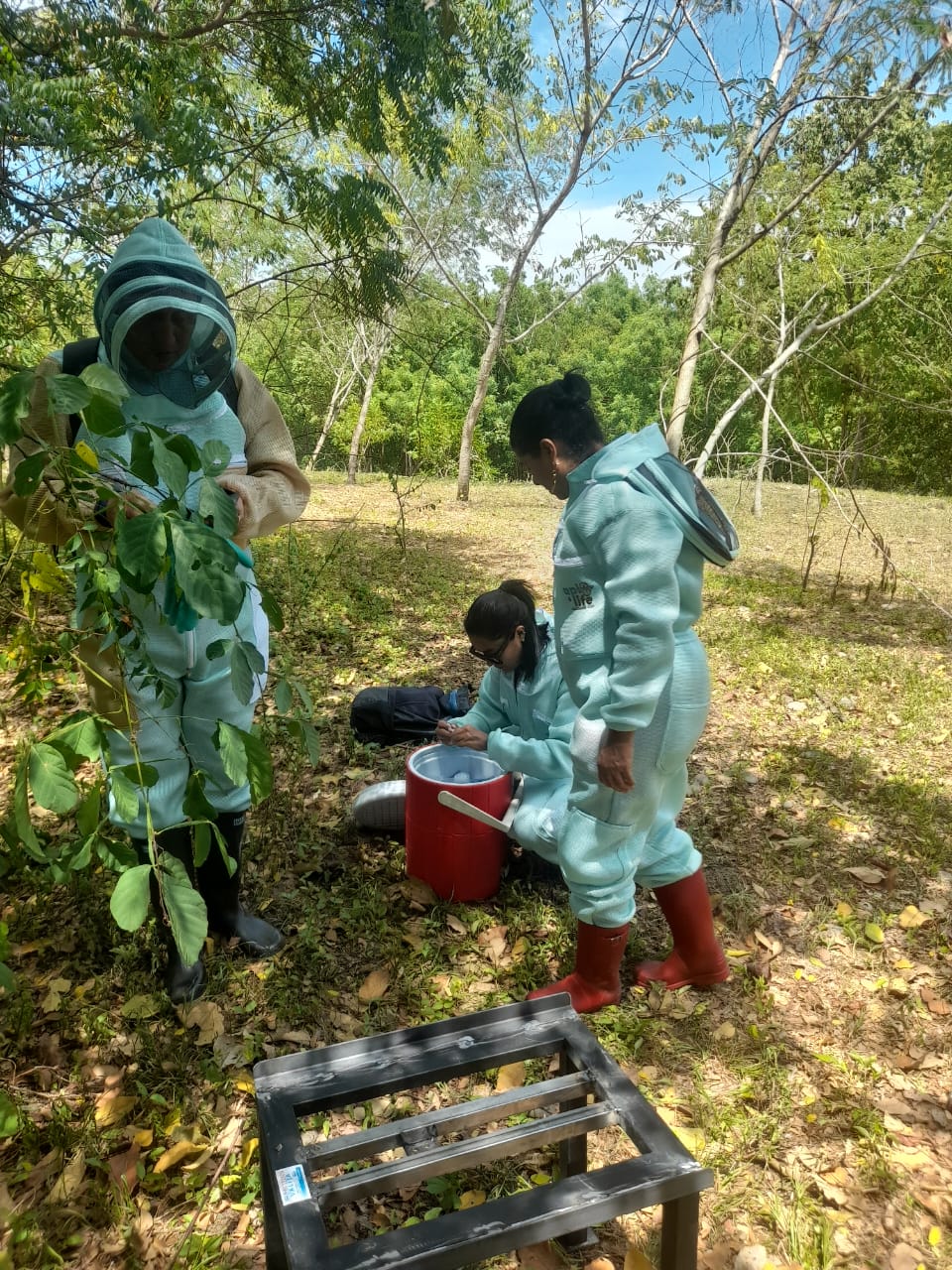 alistando el iot.jpeg