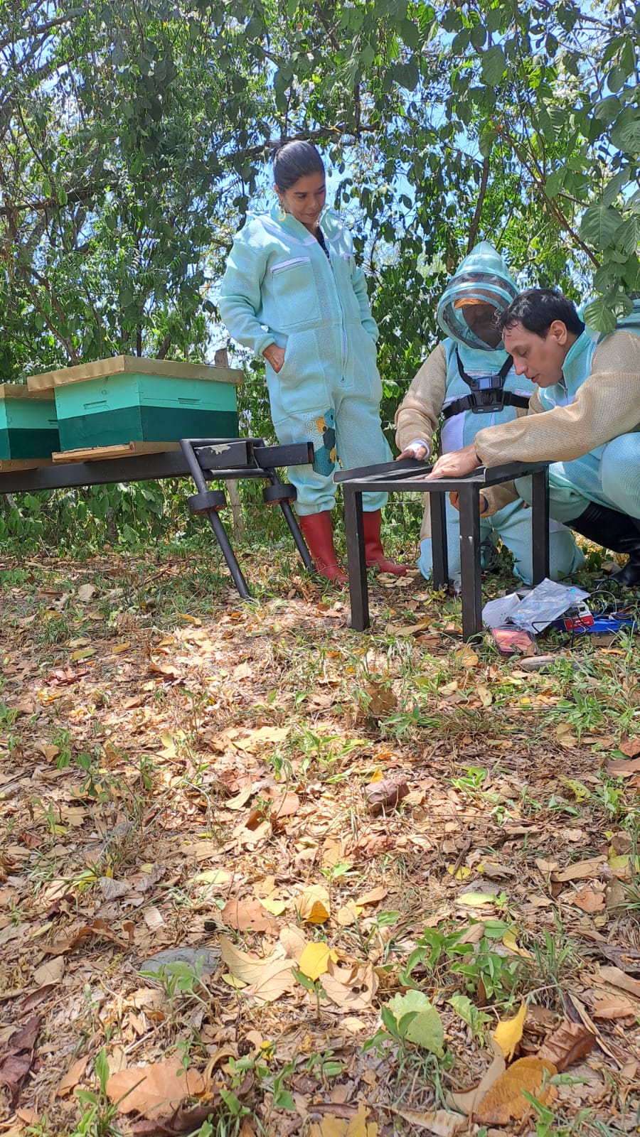 apilife y apitech.jpeg