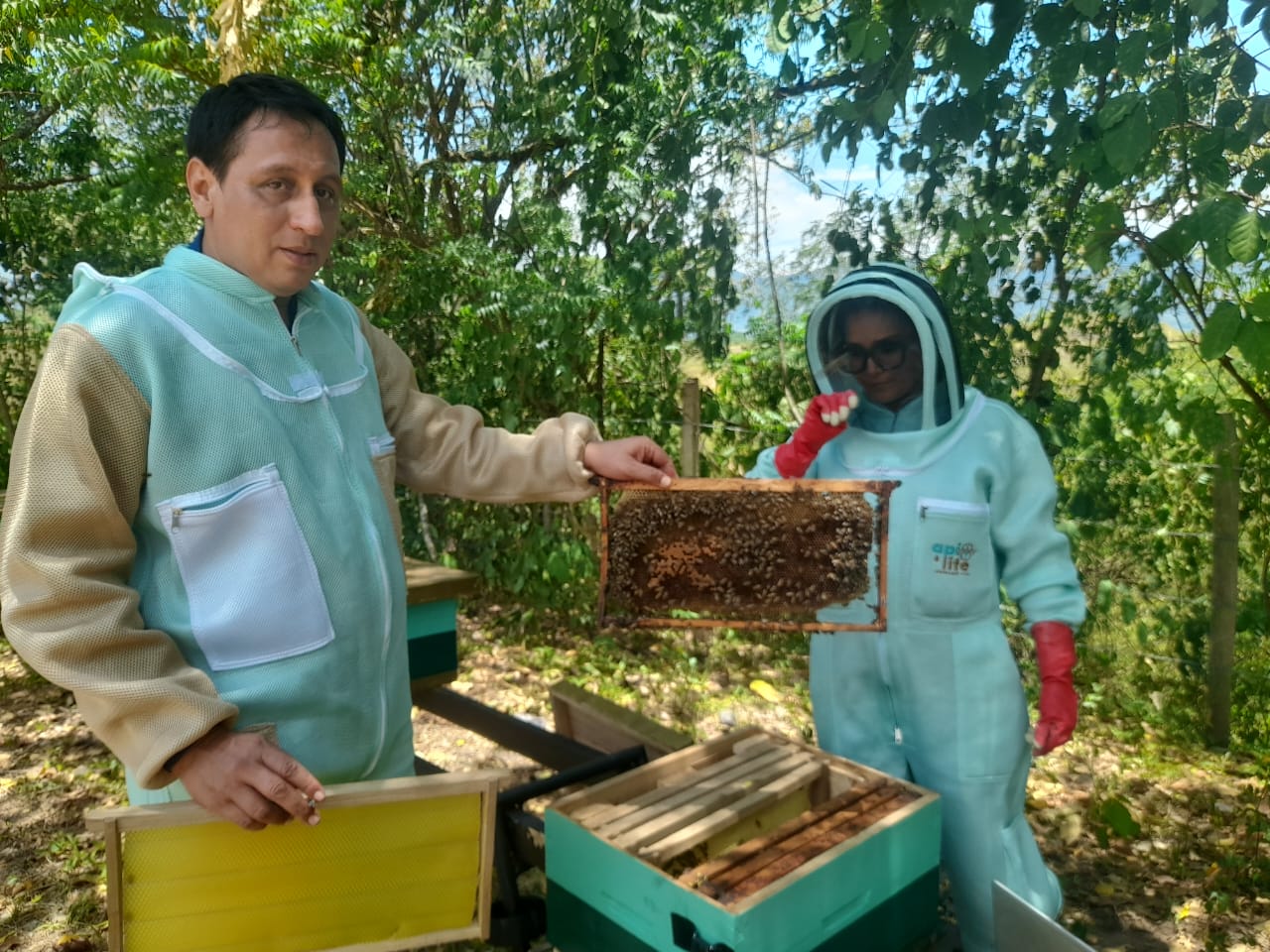 aplicacion IOT campo.jpeg