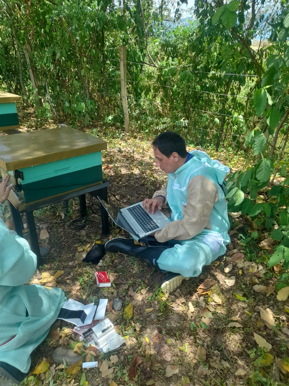 asesoria apitech campo.jpeg