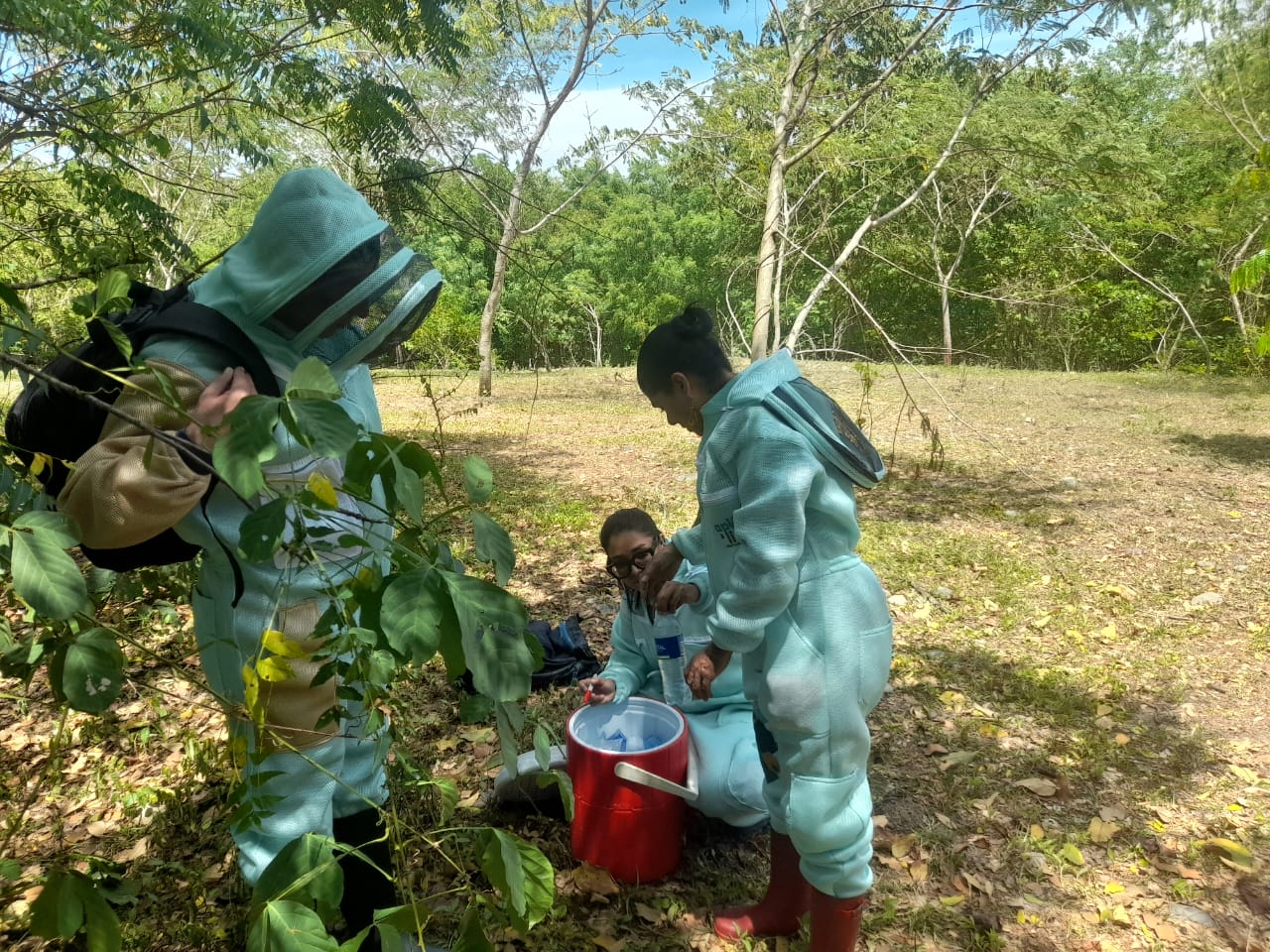 en los apiarios.jpeg