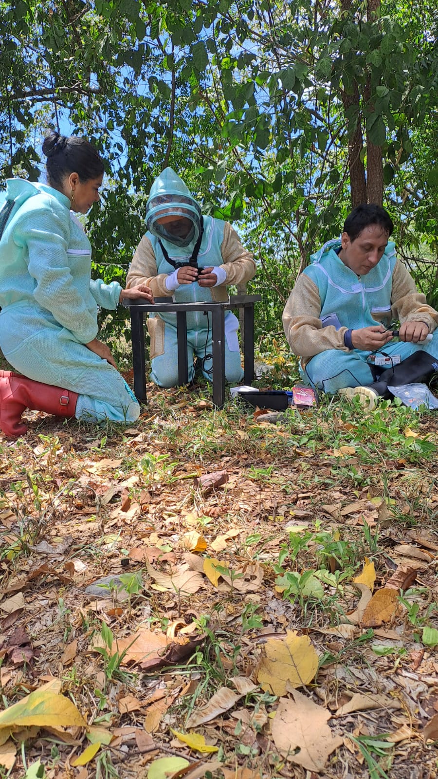 ensambe iot apiarios inicio.jpeg