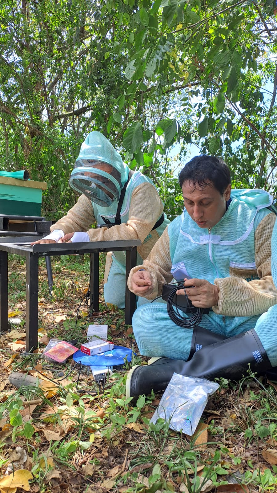 ensamble de iot en apiario.jpeg