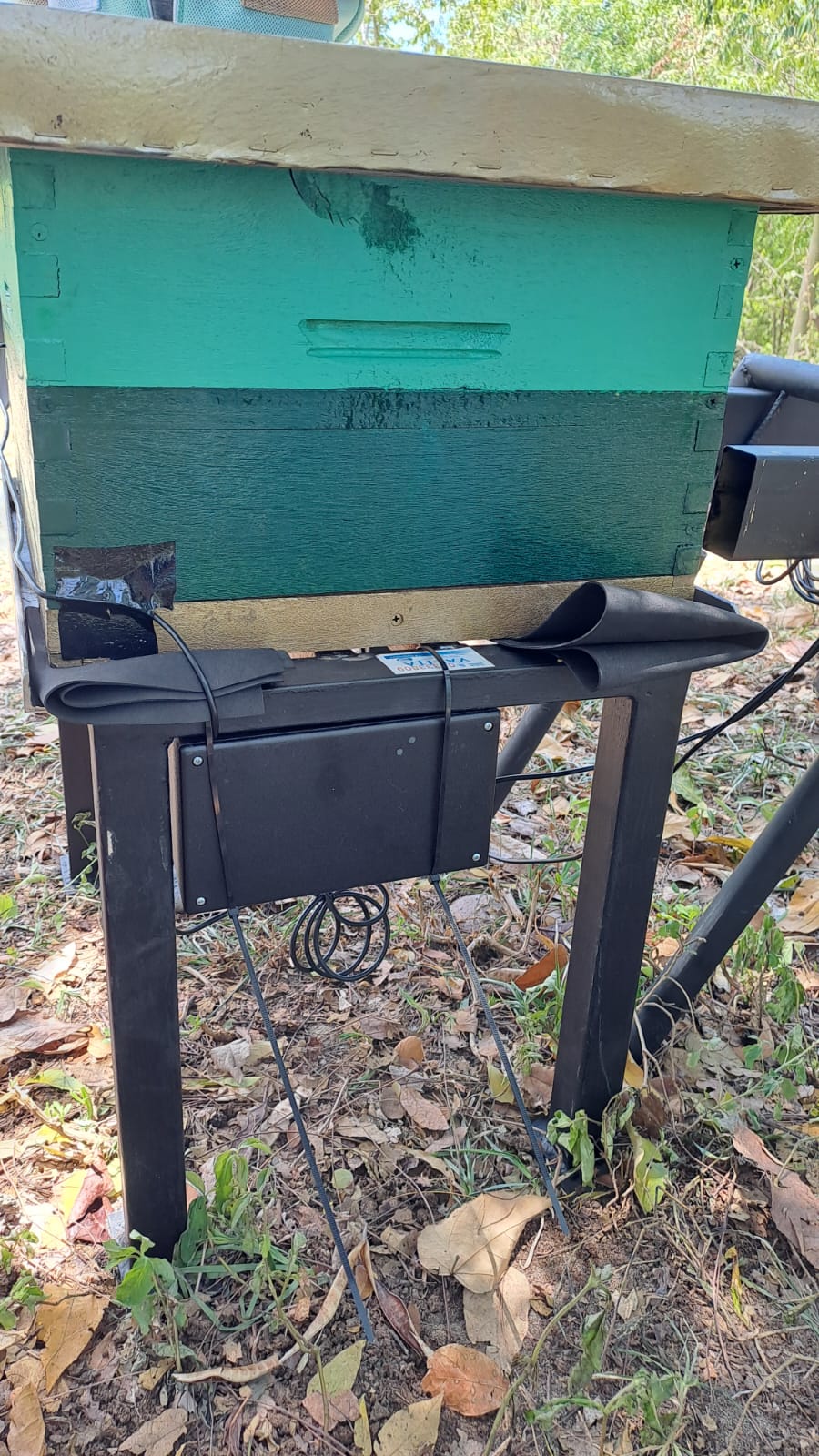 iot adaptado a colmena en apiario.jpeg