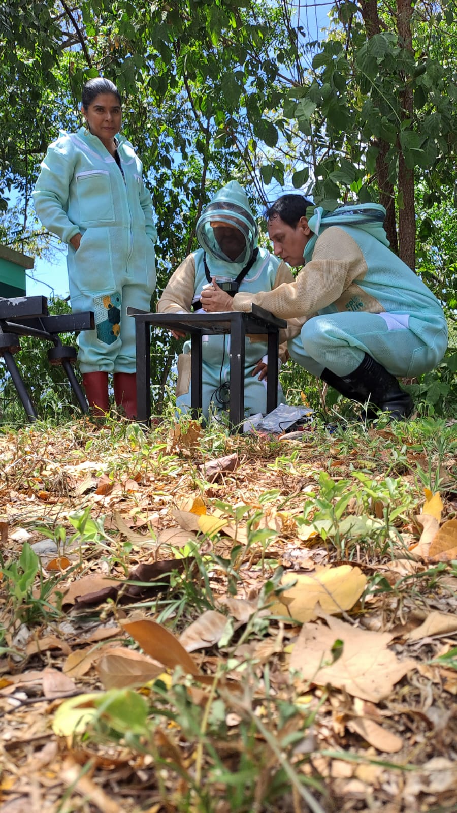 iot en el apiario.jpeg