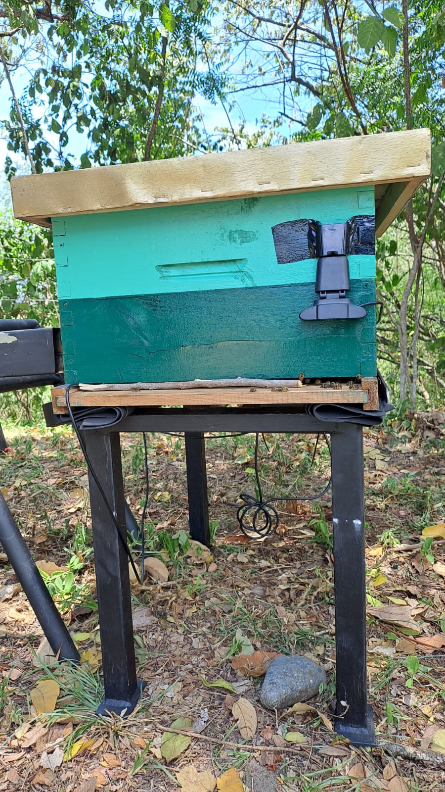 iot en funcionamiento.jpeg